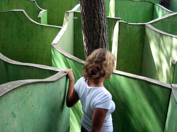 203052584_09defa6295_o