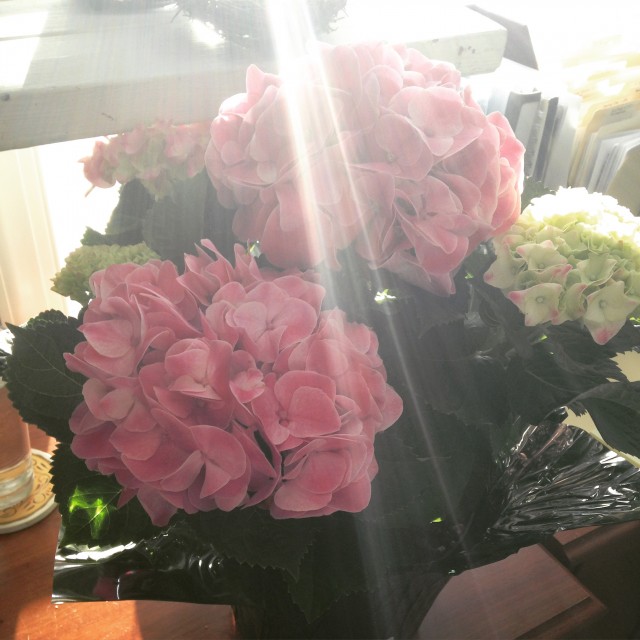 2015-02-13 08.06.55-1