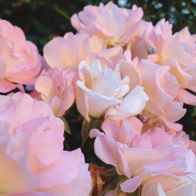 2015-07-16 20.35.54-1